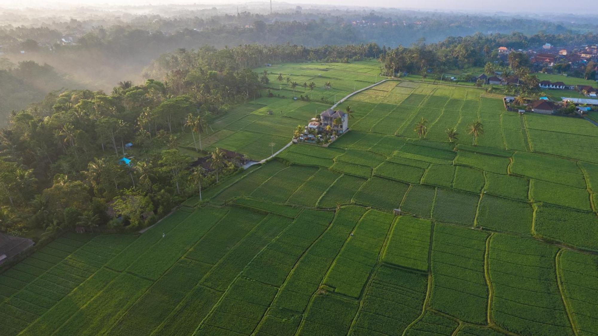 The Nenggala Suite Tegallalang  Luaran gambar