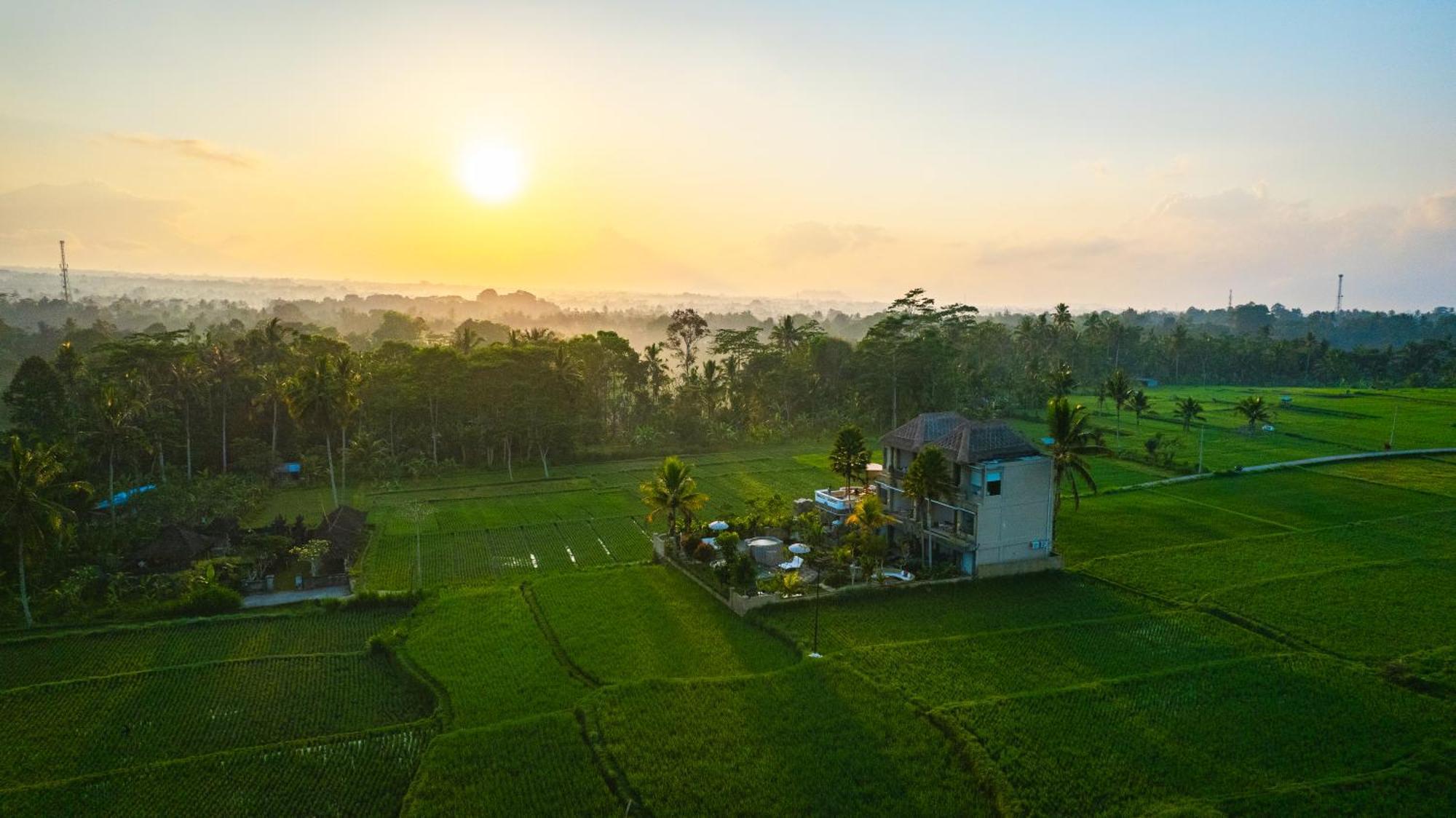 The Nenggala Suite Tegallalang  Luaran gambar