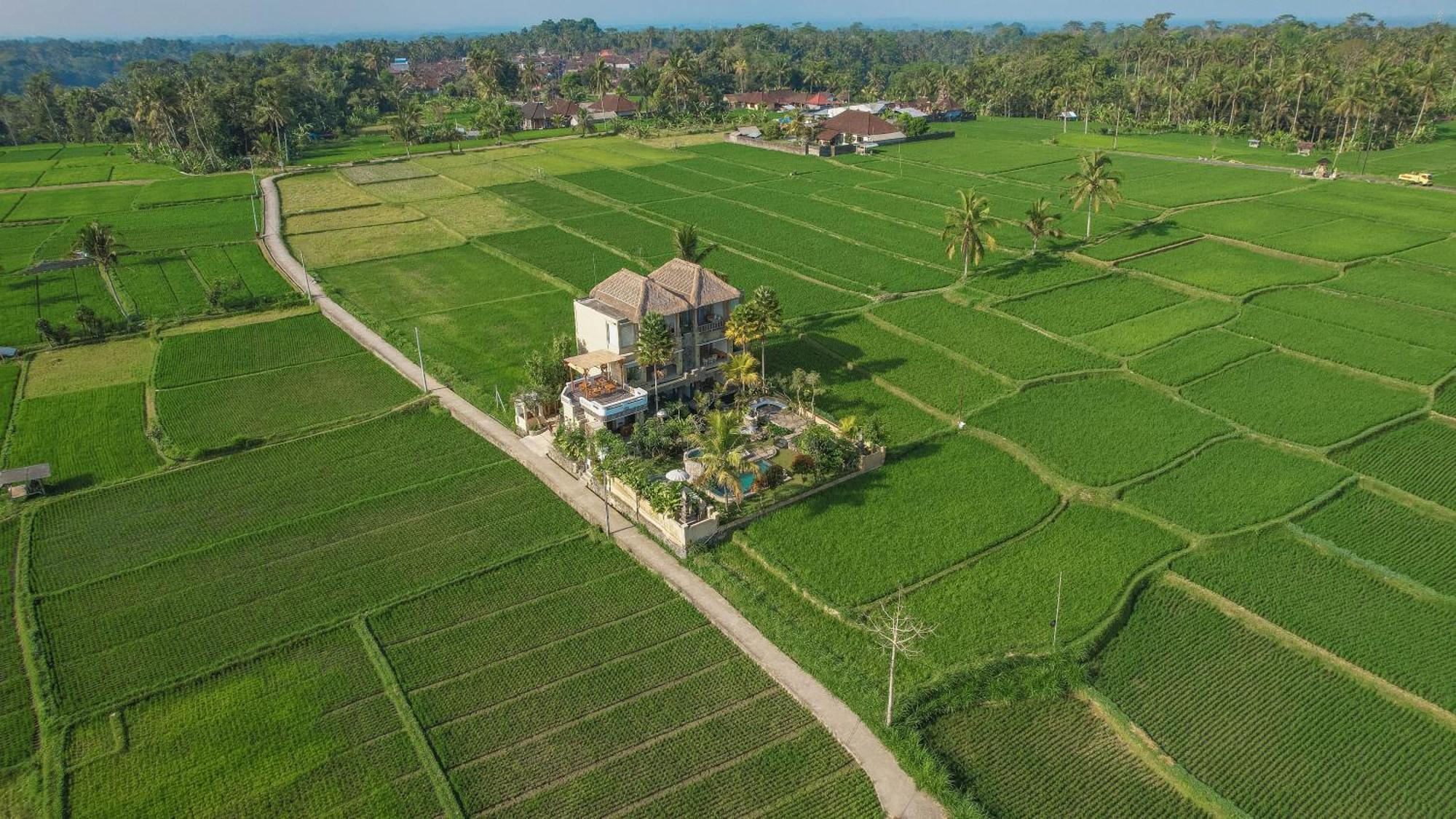 The Nenggala Suite Tegallalang  Luaran gambar