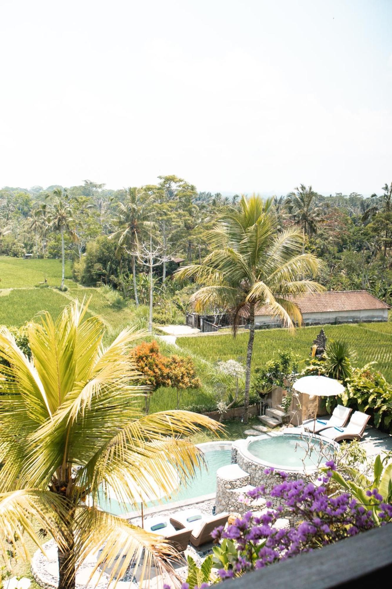 The Nenggala Suite Tegallalang  Luaran gambar